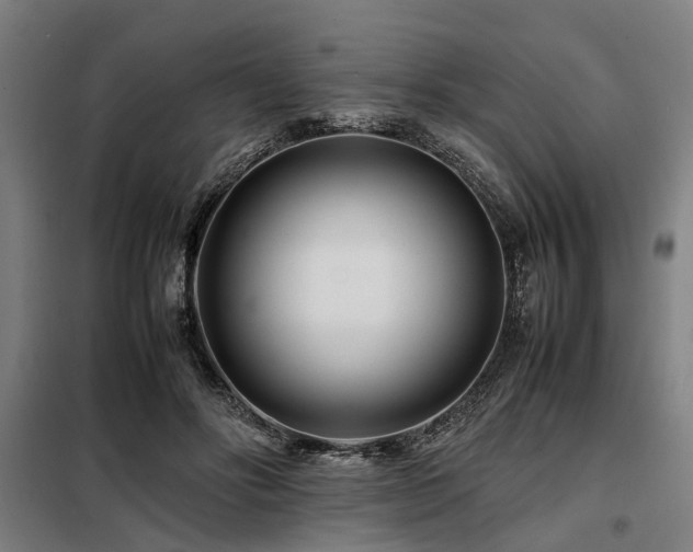 X0000098080502200804041152