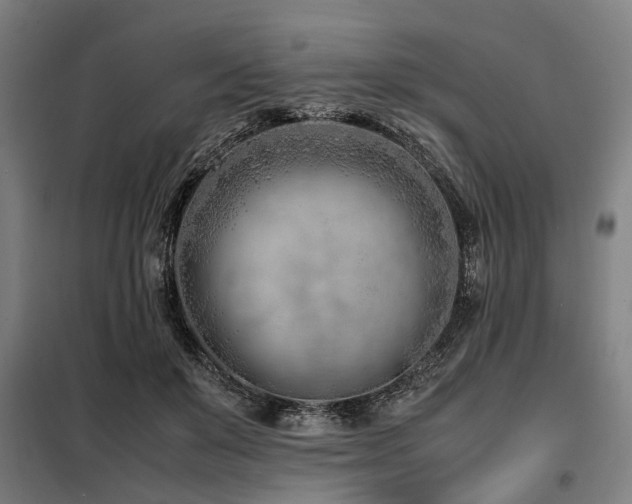 X0000098080503200804041152