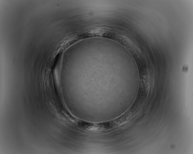 X0000098080504200804041152