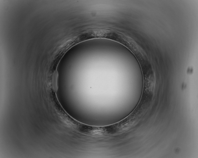 X0000098080505200804041152