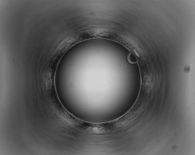 X0000098080506200804041152