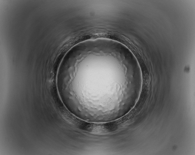 X0000098080507200804041152