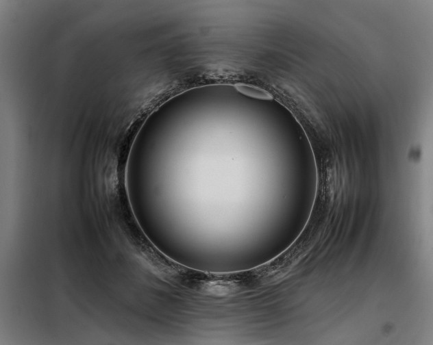 X0000098080508200804041152