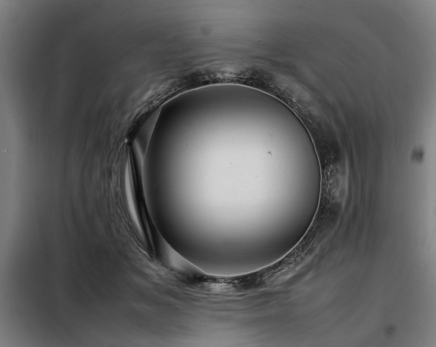 X0000098080509200804041152