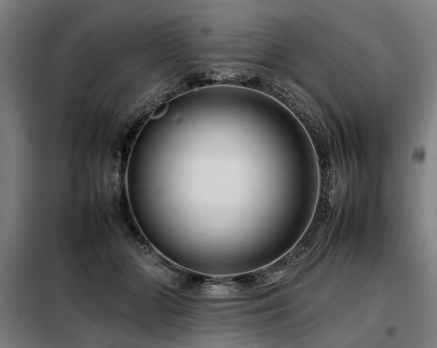 X0000098080510200804041152