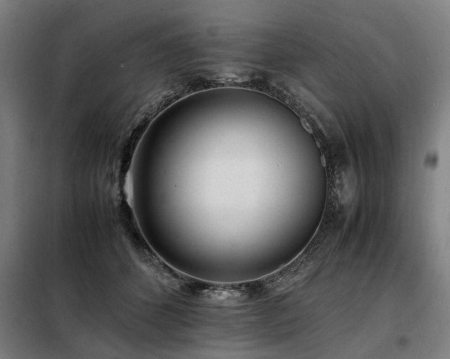 X0000098080512200804041152