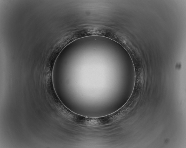 X0000098080513200804041152