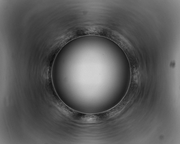 X0000098080514200804041151