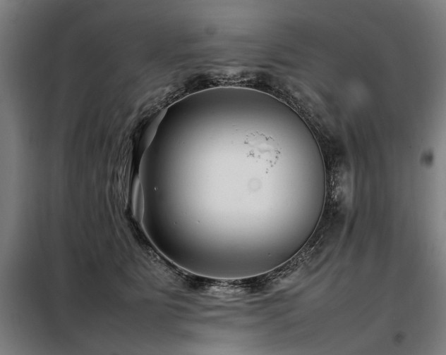 X0000098080515200804041151