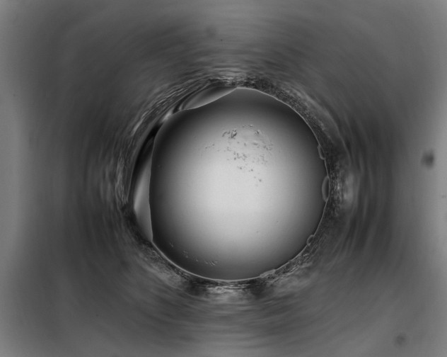 X0000098080516200804041151