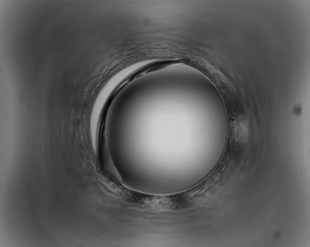 X0000098080517200804041151