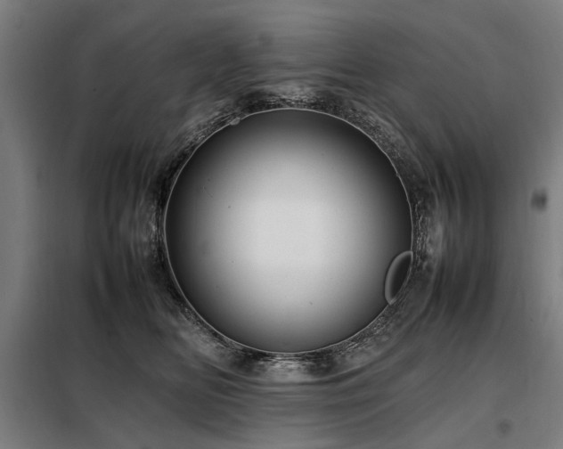 X0000098080518200804041151