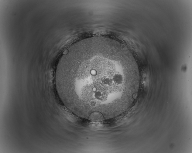 X0000098080519200804041151