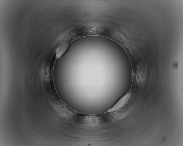 X0000098080520200804041151
