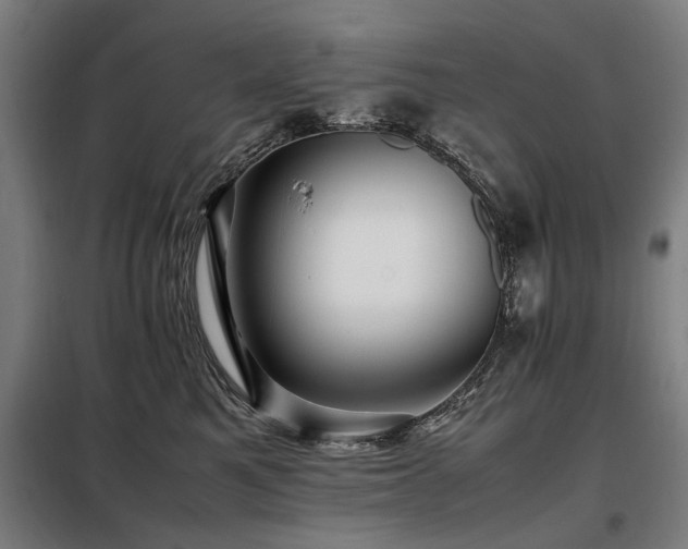 X0000098080521200804041151