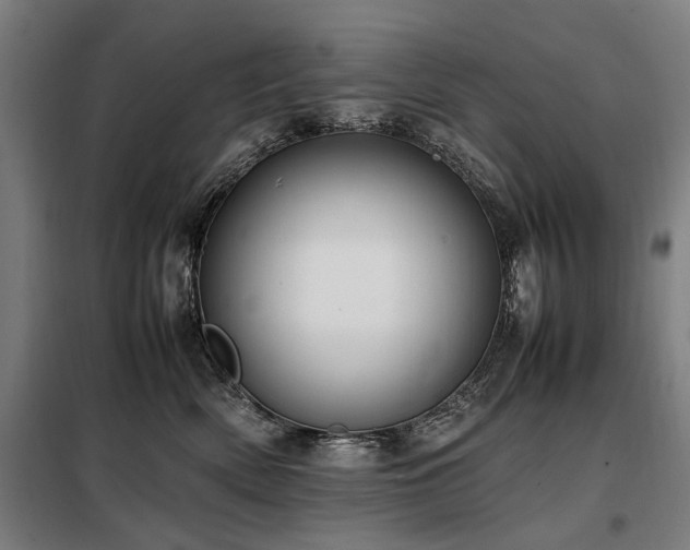 X0000098080522200804041151