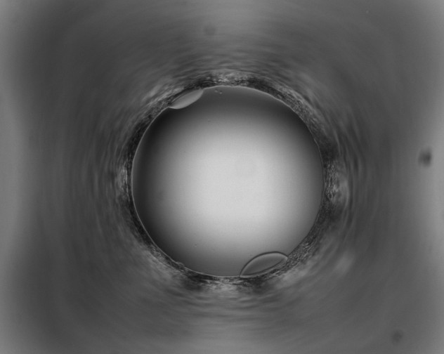 X0000098080523200804041151