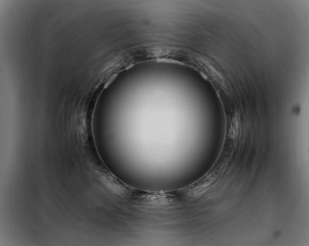 X0000098080524200804041151