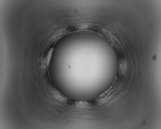 X0000098080525200804041151