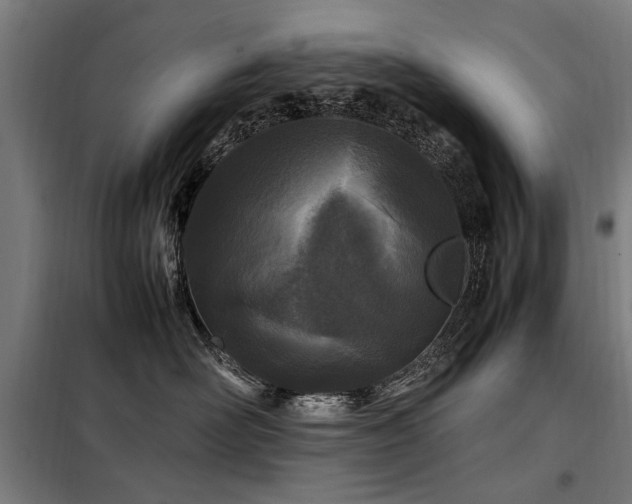 X0000098080526200804041151