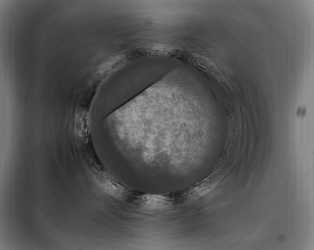X0000098080528200804041151