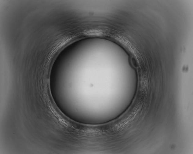 X0000098080529200804041151