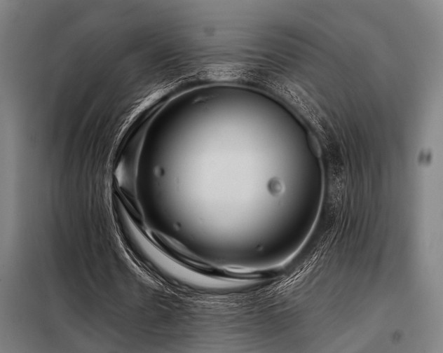 X0000098080530200804041151