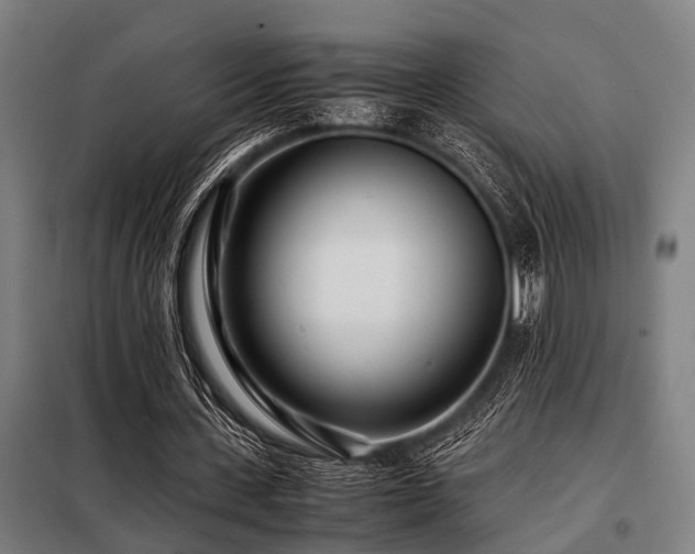 X0000098080531200804041151