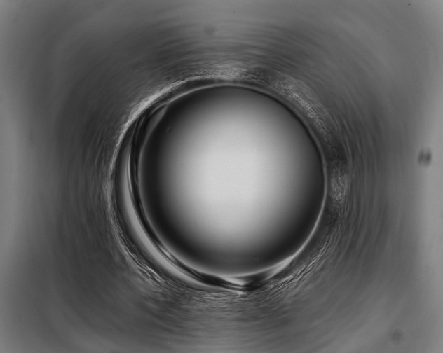 X0000098080532200804041151