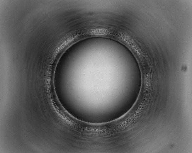 X0000098080533200804041151