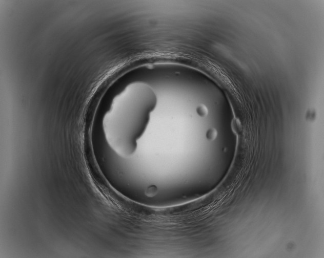 X0000098080534200804041151