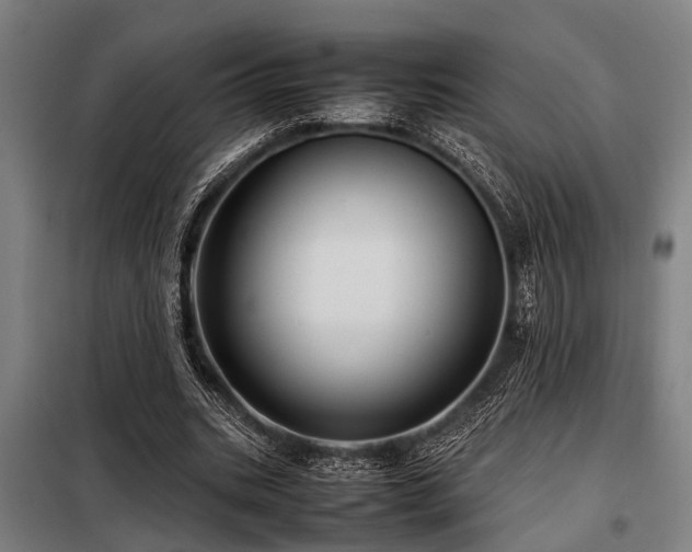 X0000098080535200804041151