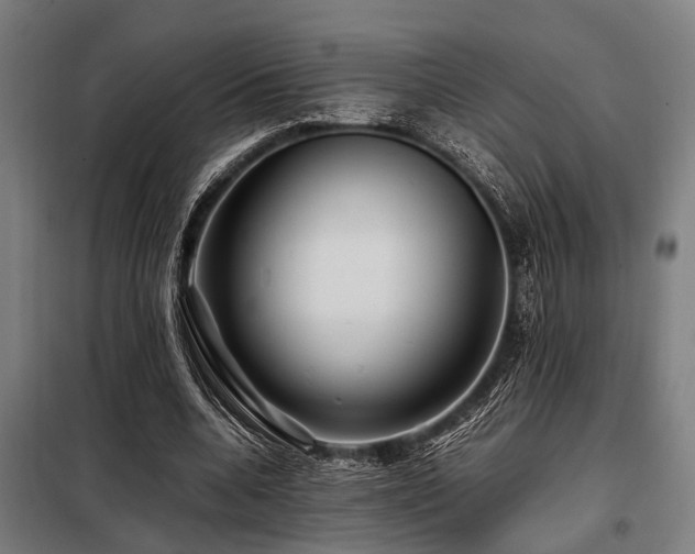 X0000098080536200804041151