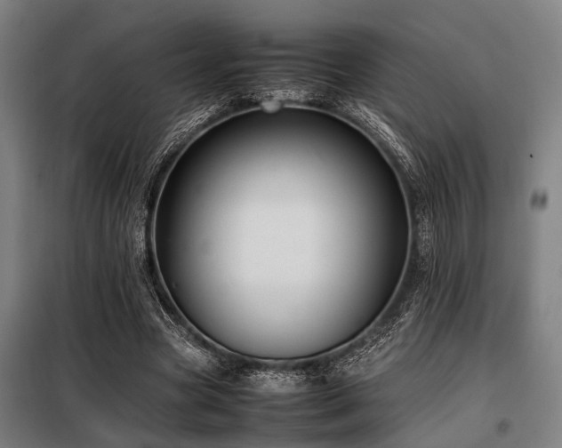 X0000098080537200804041151