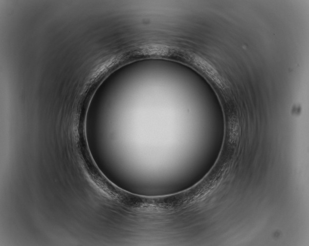 X0000098080538200804041151