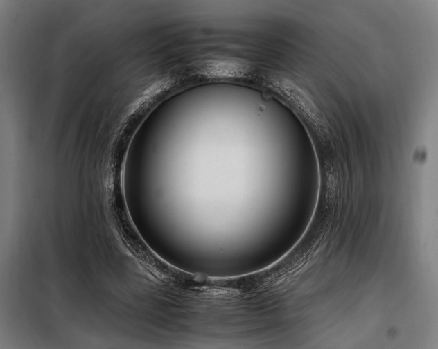 X0000098080539200804041151