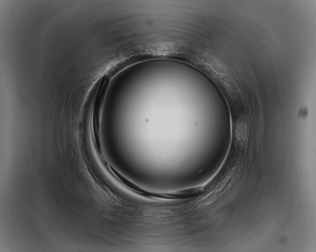 X0000098080540200804041151