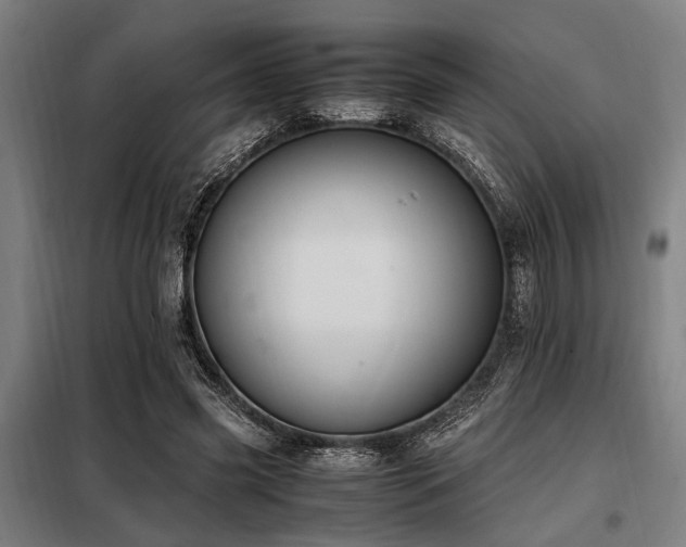 X0000098080541200804041151