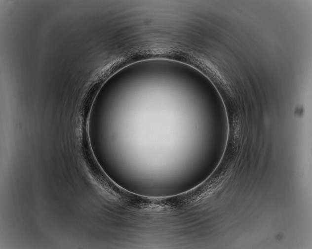 X0000098080542200804041151