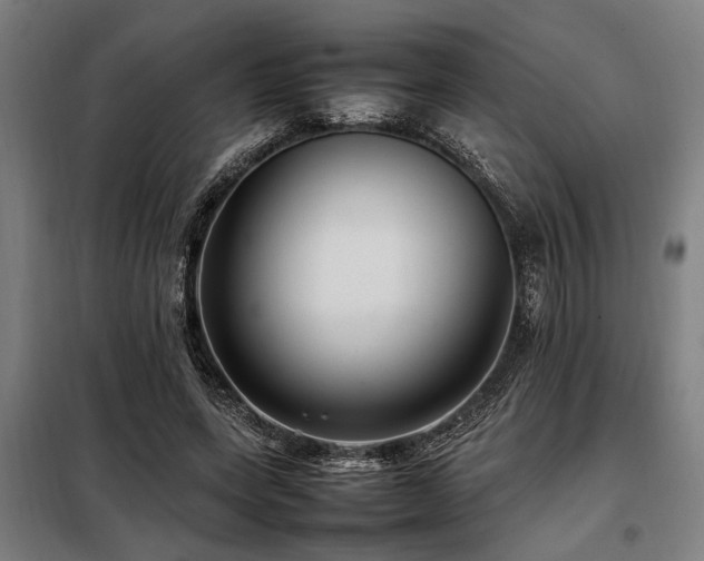 X0000098080543200804041151