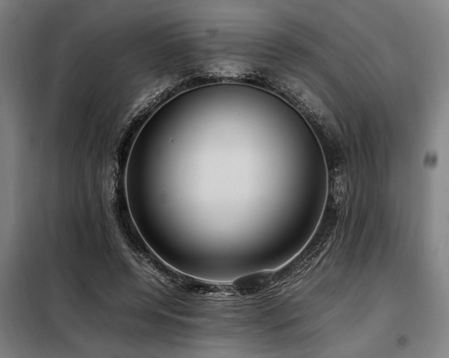 X0000098080544200804041151
