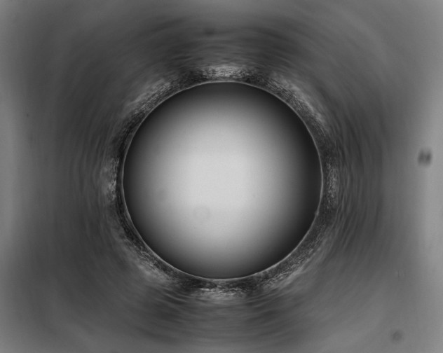 X0000098080545200804041151
