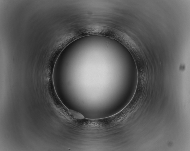 X0000098080546200804041151