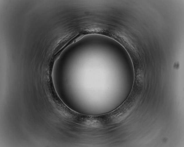 X0000098080547200804041151