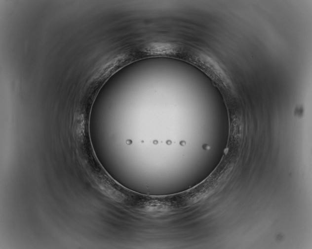 X0000098080549200804041151