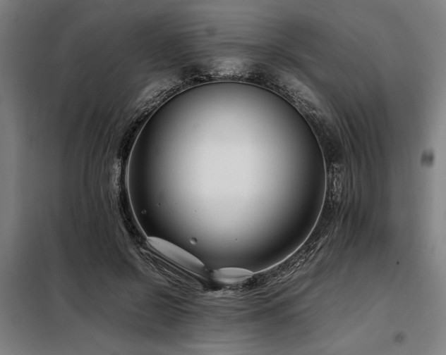 X0000098080550200804041151