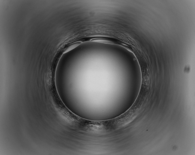 X0000098080552200804041151