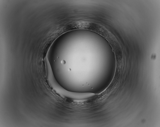 X0000098080553200804041151