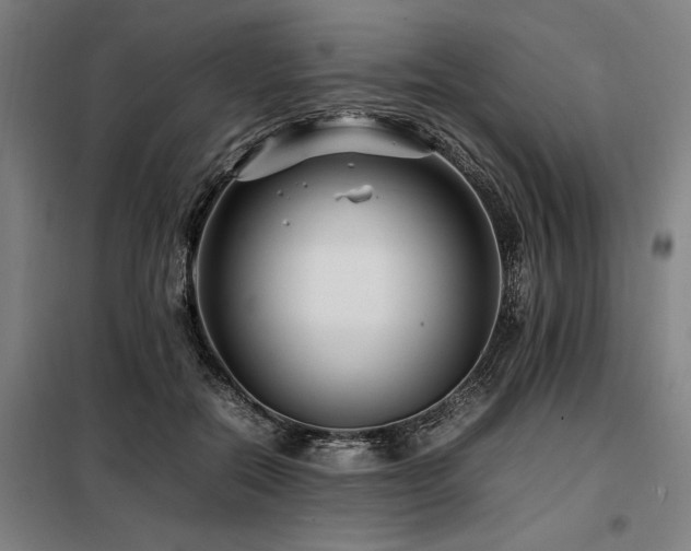 X0000098080554200804041151