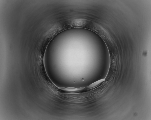 X0000098080555200804041151